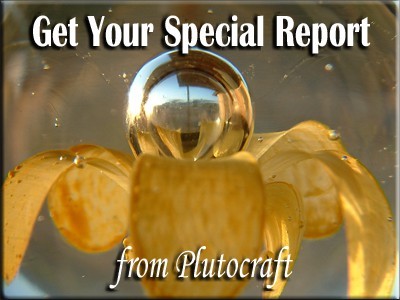 Special Report from Plutocraft
